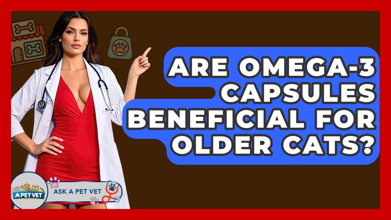 Are Omega-3 Capsules Beneficial For Older Cats? | Ask A Pet Vet