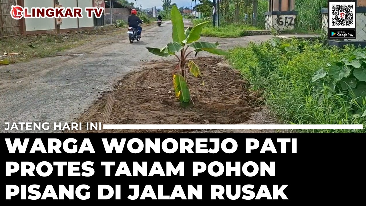6 TAHUN TAK DIPERBAIKI, WARGA WONOREJO PATI TANAM POHON PISANG DI JALAN RUSAK