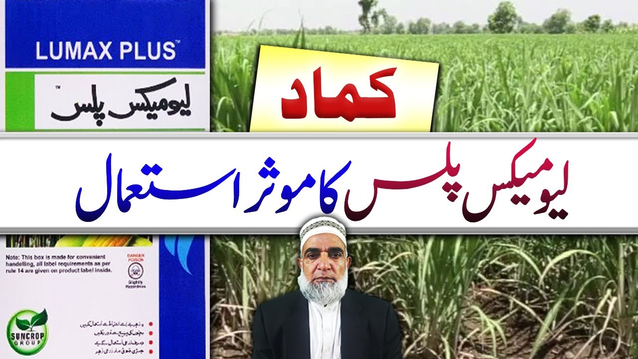 Effective use of Lumax Plus in Sugarcane || Crop Reformer