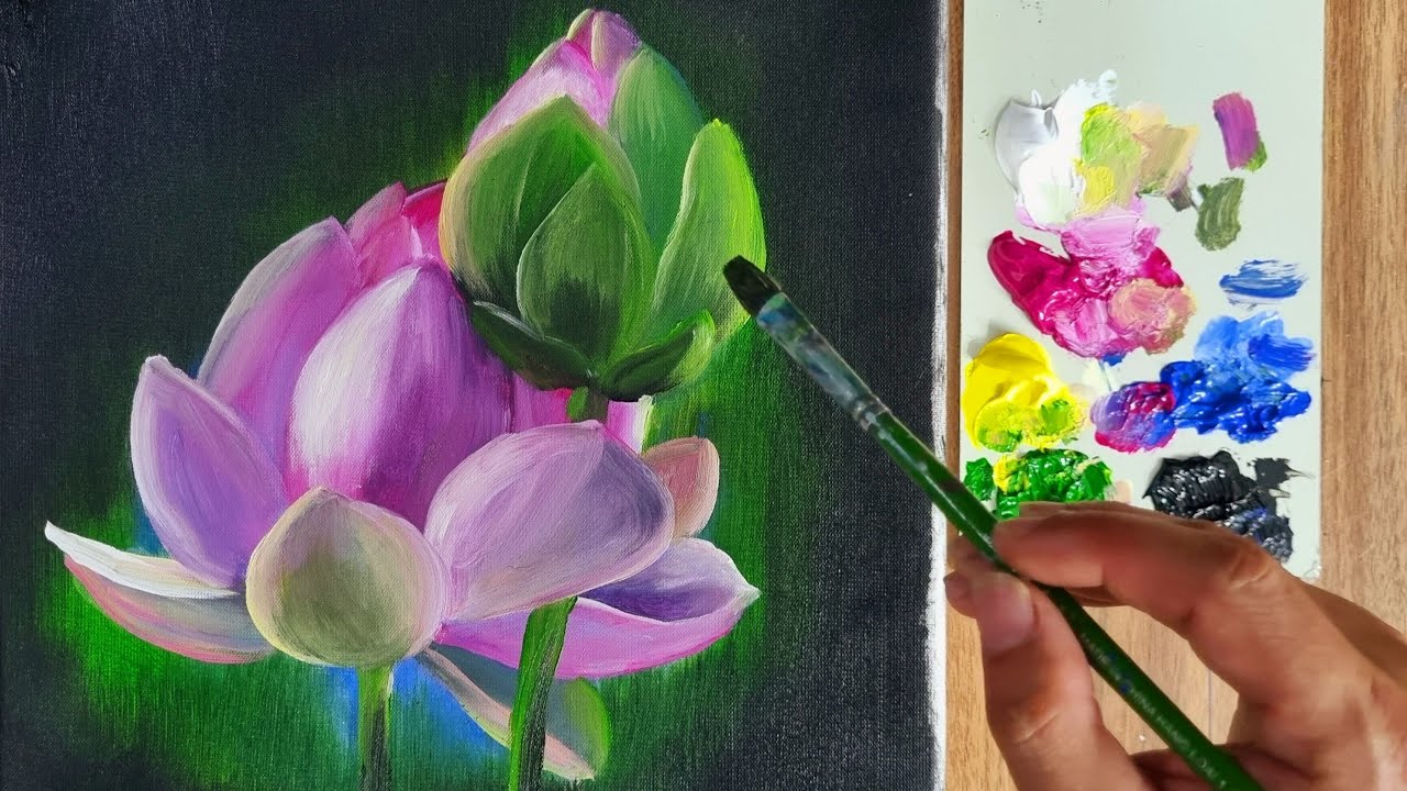 drawing lotus | Vẽ hoa sen