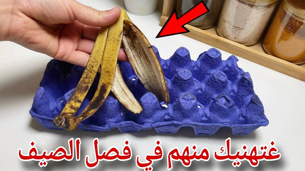 وياك تبقاي تشريها😱هاشنو ديري بيه قبل مترميه....دقة بطلة لقرصة شنيولة✅️وصفات صيفية بدون تغماس...