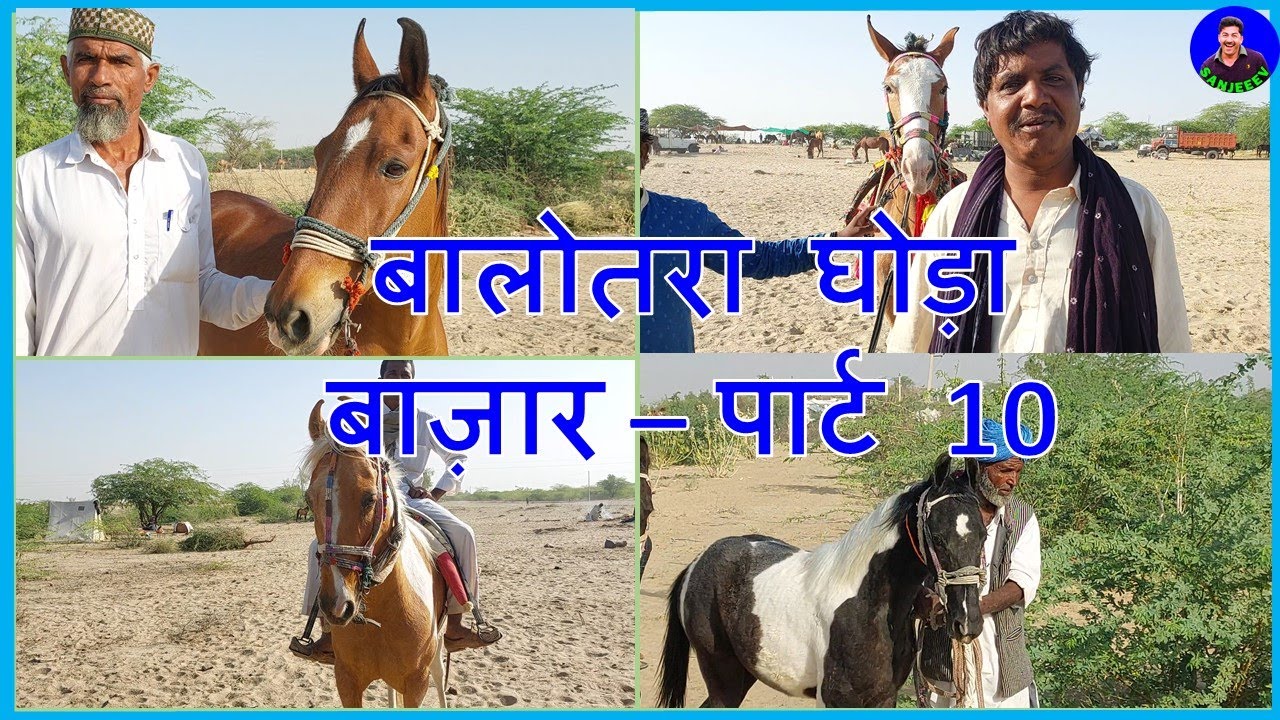 बिकाऊ घोड़े पार्ट 10 Balotra Horse Fair 2022 तिलवाड़ा घोड़ा मेला बाजार Horse Sale Market India Video