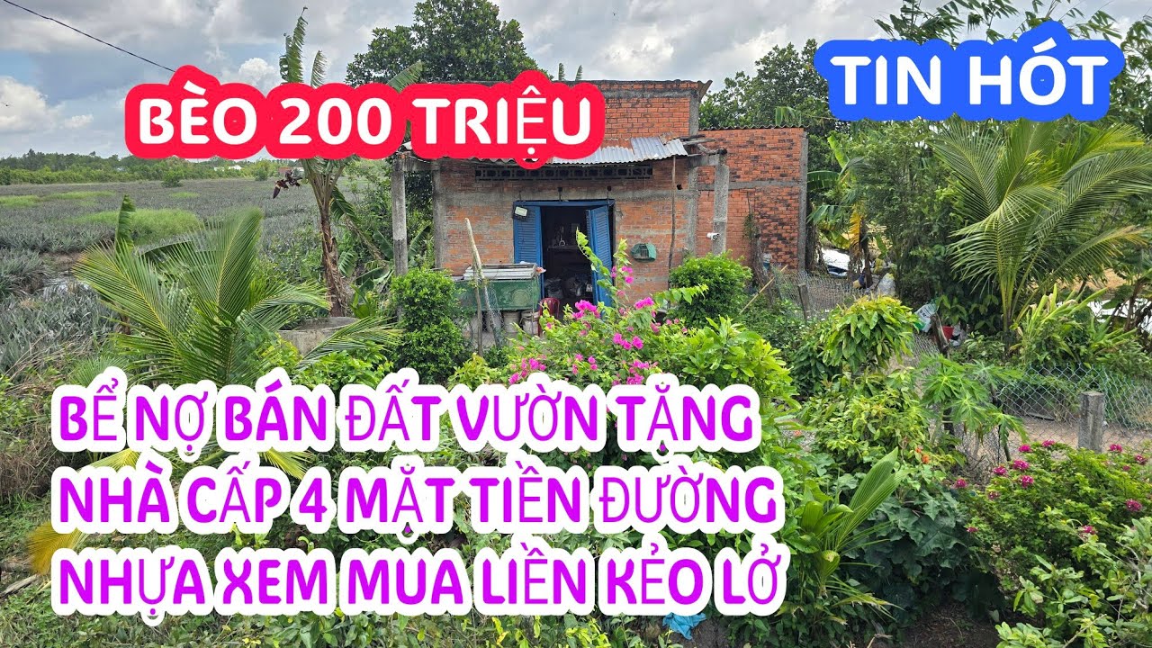 MS:24899(BÁN RỒI) Nổi khổ bán căn nhà siêu rẻ 200 triệu/1000m2 - Mặt tiền nhựa xe tải giáp sông.