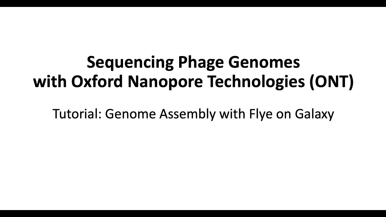 Tutorial 3. Genome assembly with Flye on Galaxy
