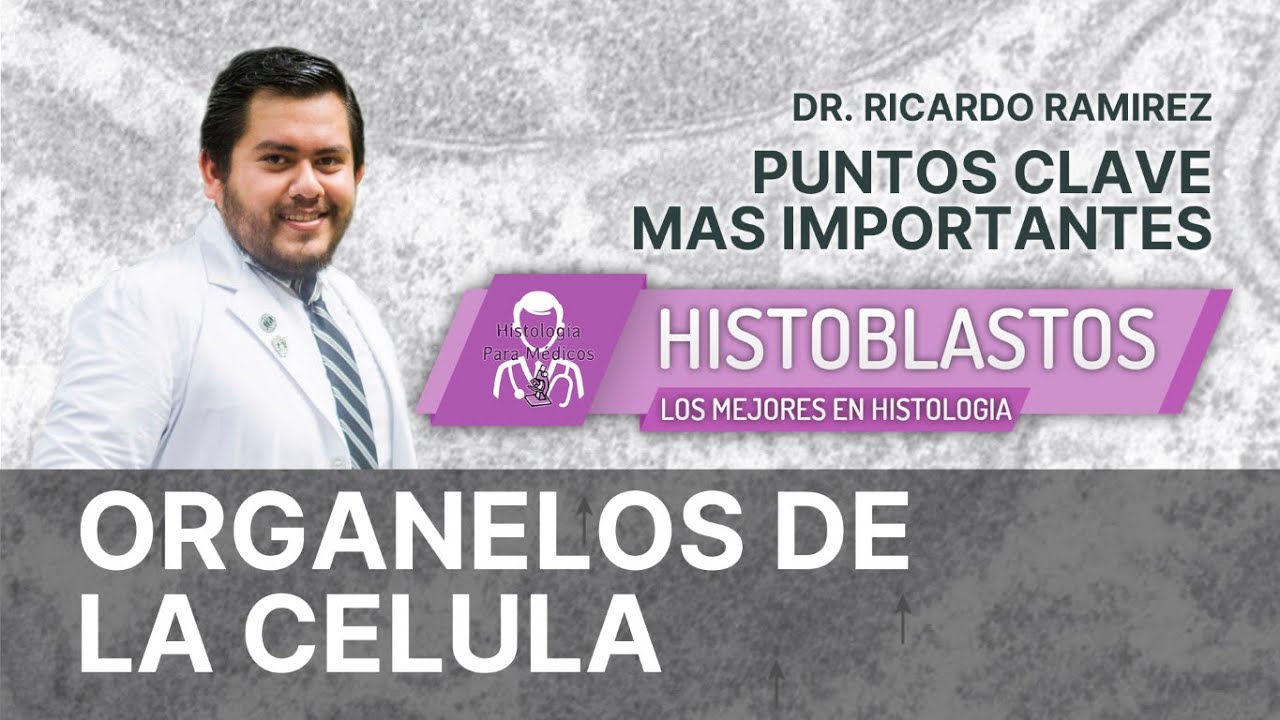 HISTOLOGIA | ORGANELOS CELULARES