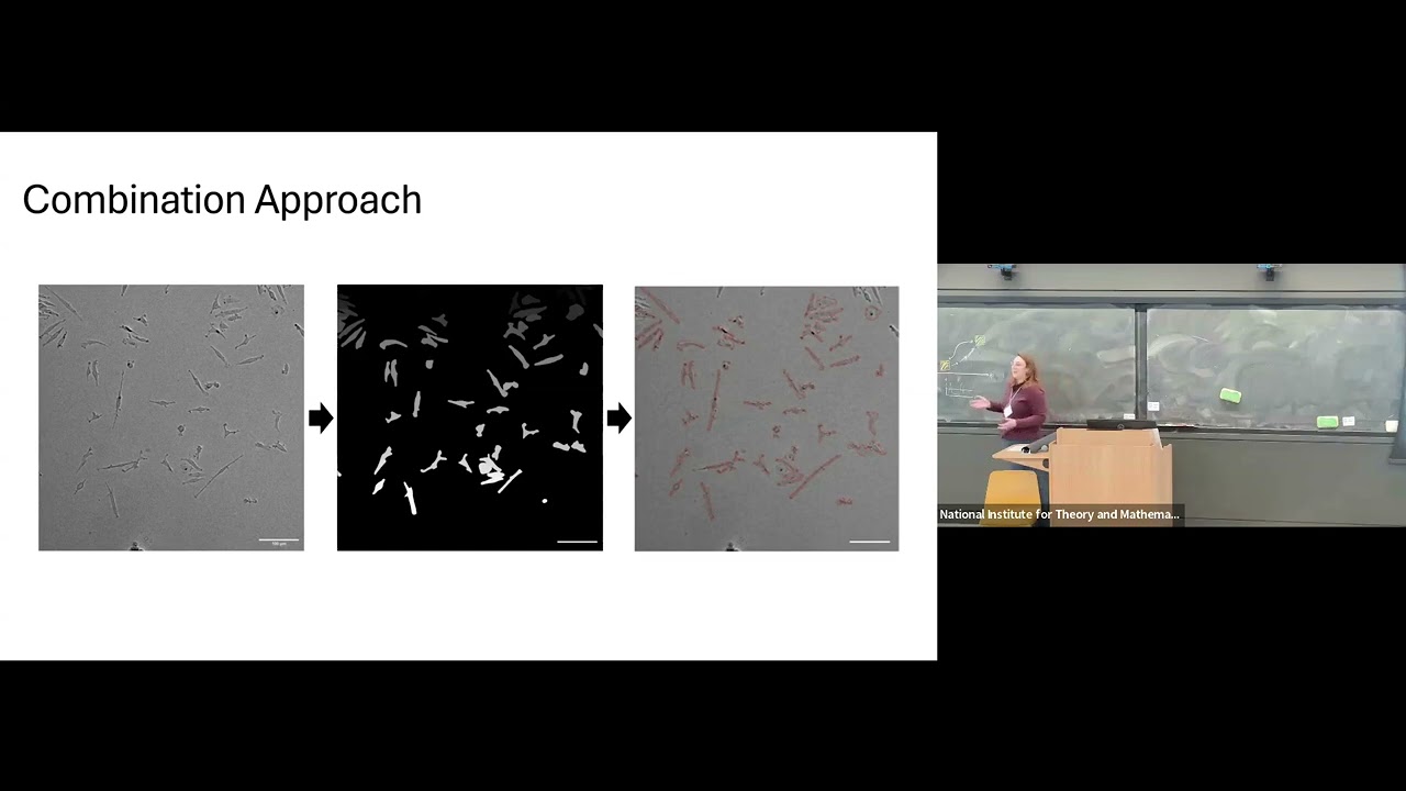 Interpretability of Machine Learning on Experimental Data | Kristina Braverman