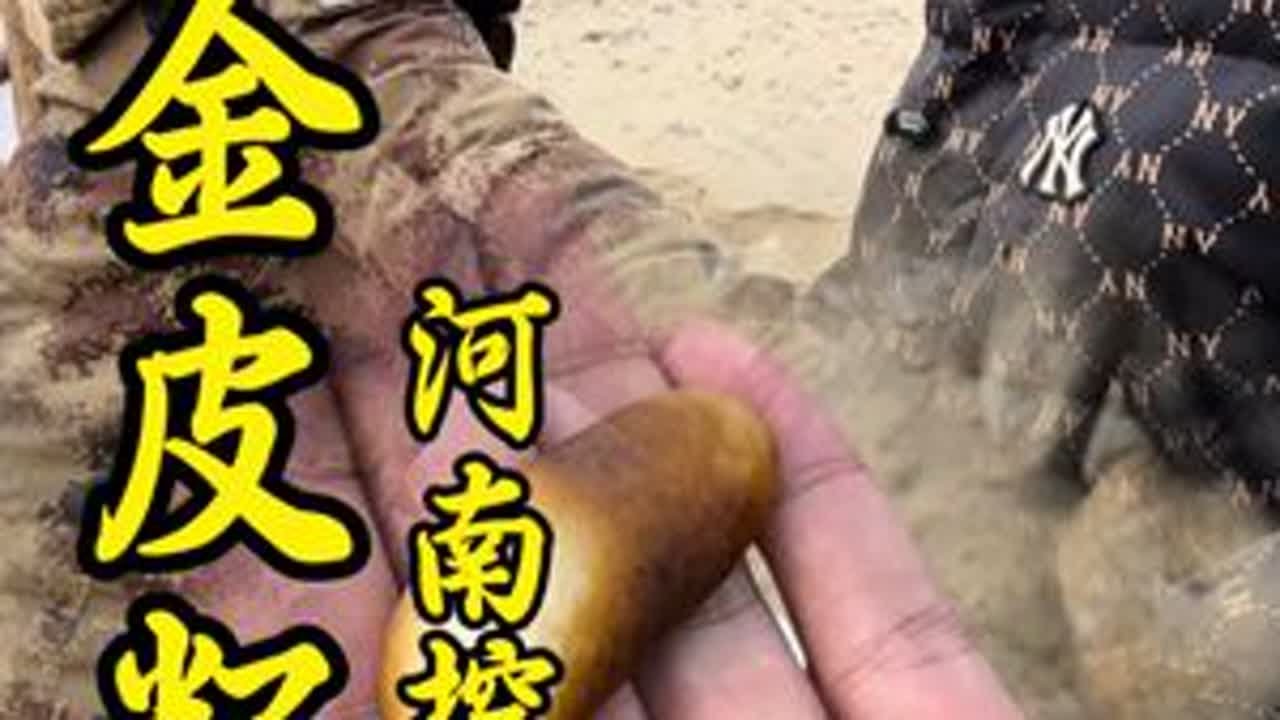 收获两枚籽料 河南老乡的籽料卖了买棉被#挖玉人 #籽料 #玉石文化 #玉石籽料 #玉帝哥哥和田玉