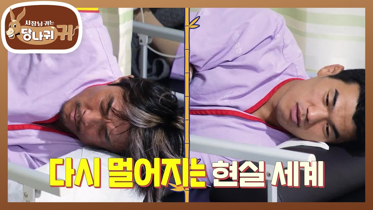 파이터들의 남다른 건강검진!🔥 추 보스의 상태는? [사장님 귀는 당나귀 귀/Boss in the Mirror] | KBS 231015 방송