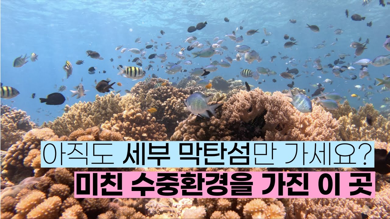 세부에서 가장 깨끗한 바다, 수밀론 아일랜드