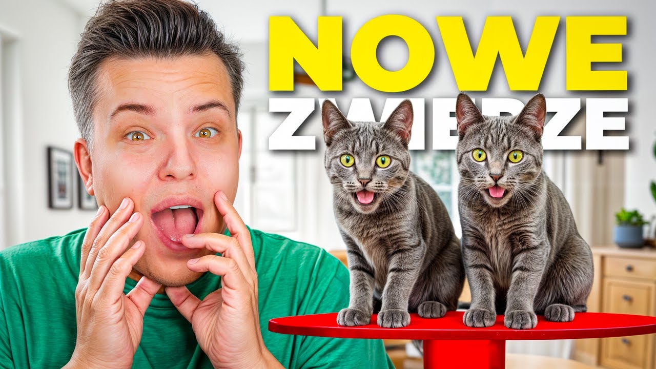 Nowe ZWIERZAKI w naszym DOMU?! *małe kotki*
