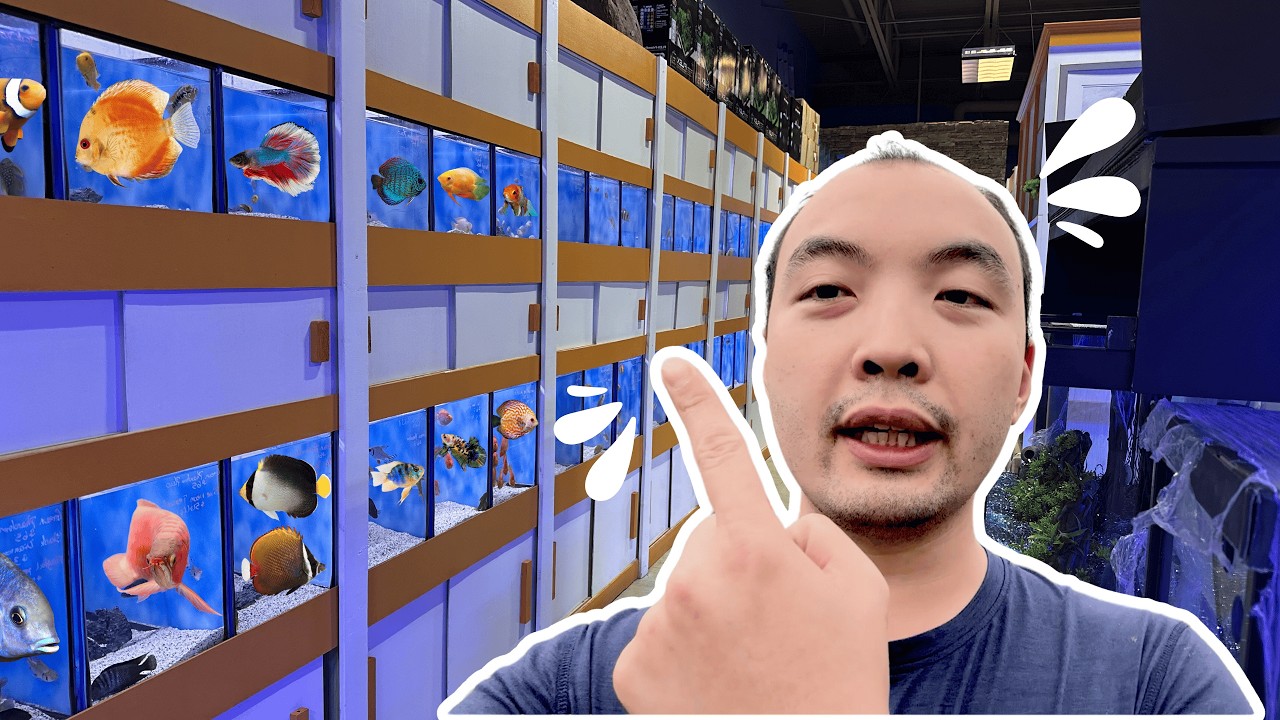 Local Store Tour Vlog | Nemo Aquarium Fish Store Tour in Atlanta, GA