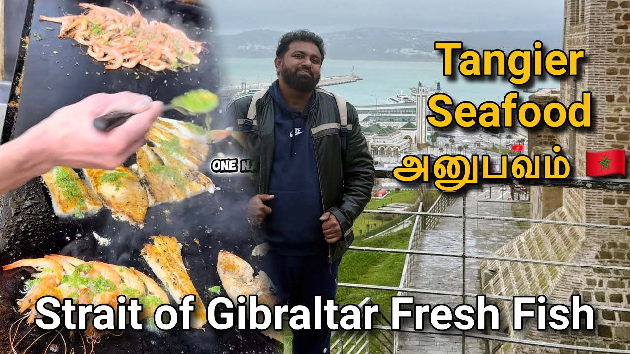 தஞ்சீர் Seafood அனுபவம் 🇲🇦 | Strait of Gibraltar Fresh Fish | Tariq Ibn Ziyad பகிதியின் கடல் உணவு 