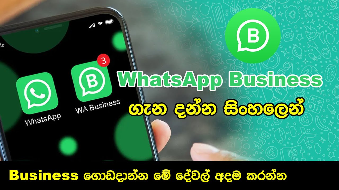 WhatsApp Business App - Sinhala | WhatsApp Tips and Tricks Sinhala Review  | Gadget Kamare | 2024