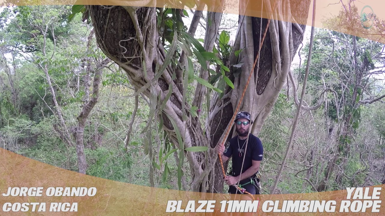 Yale Blaze 11mm Climbing Rope - TreeStuff.com Customer Jorge Obando's Review In The Field