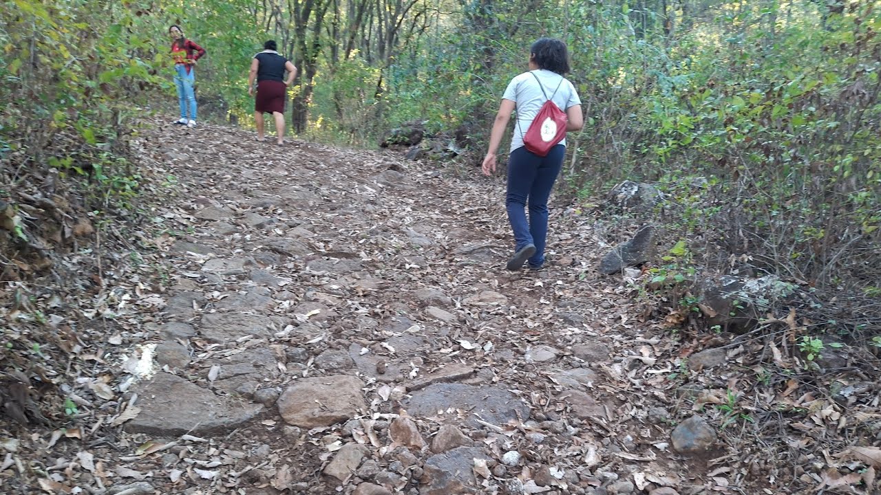 fuimos a traer leña y nos perdimos😱 entre medio de la nada 😱😱