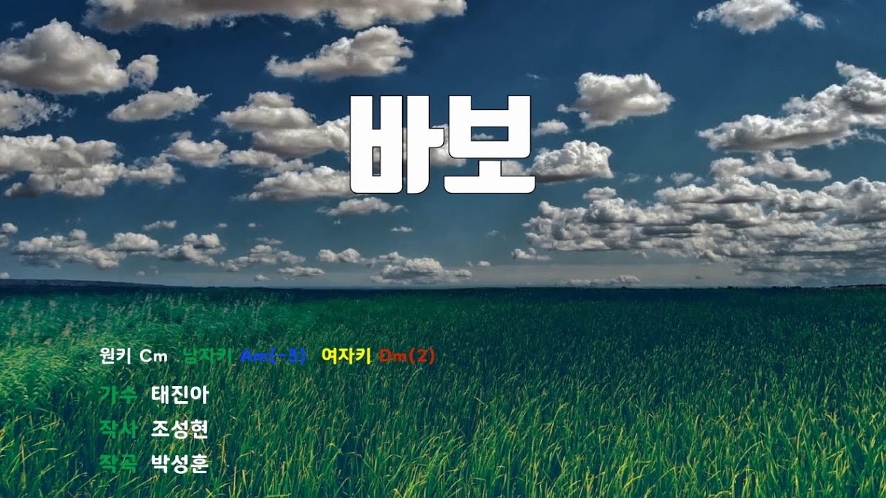 [은성반주기] 바보 - 태진아 /MR/가사