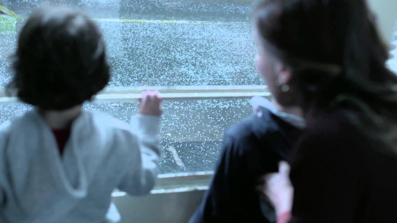 GNP Seguros - &iexcl;Vivir es incre&iacute;ble!