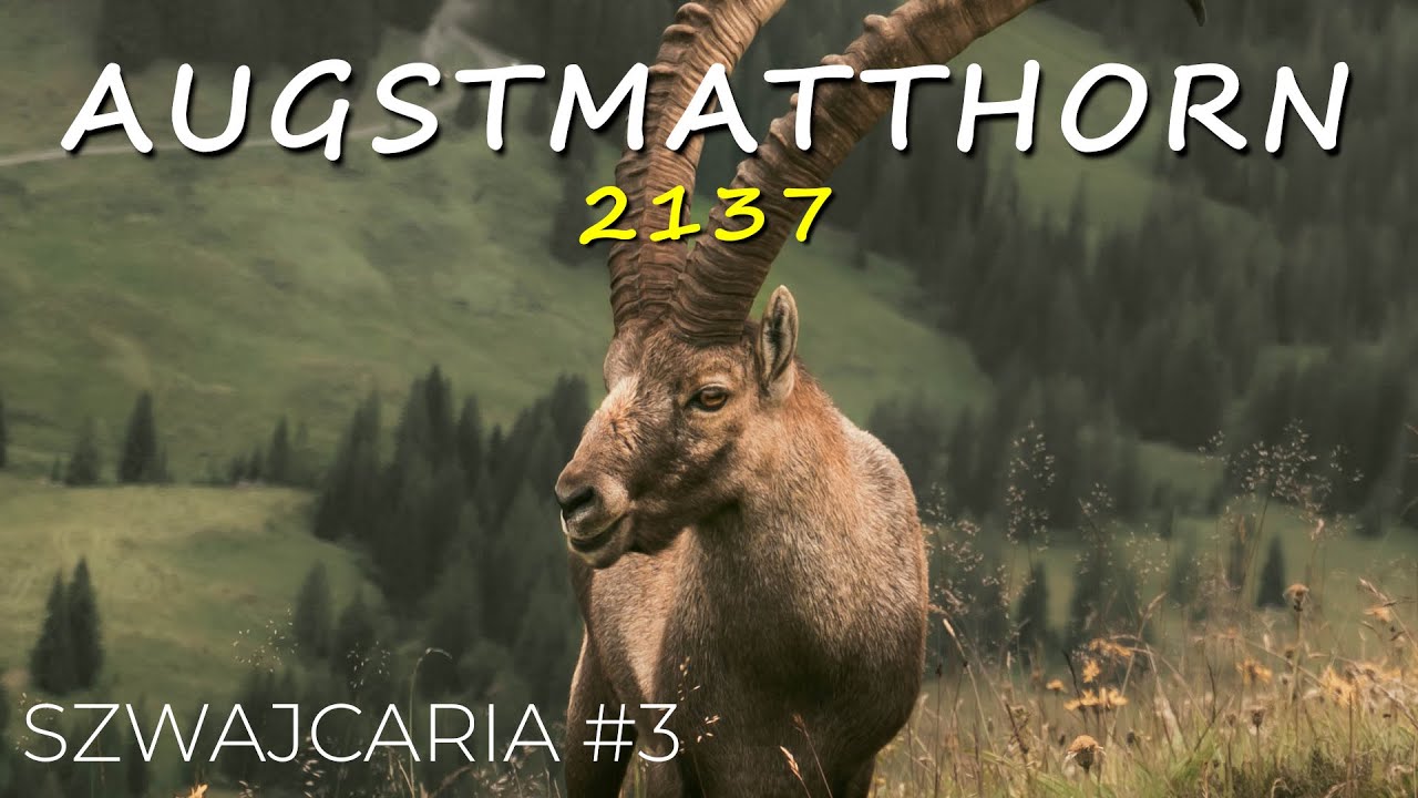 Augstmatthorn 2137 m  | SZWAJCARIA #3
