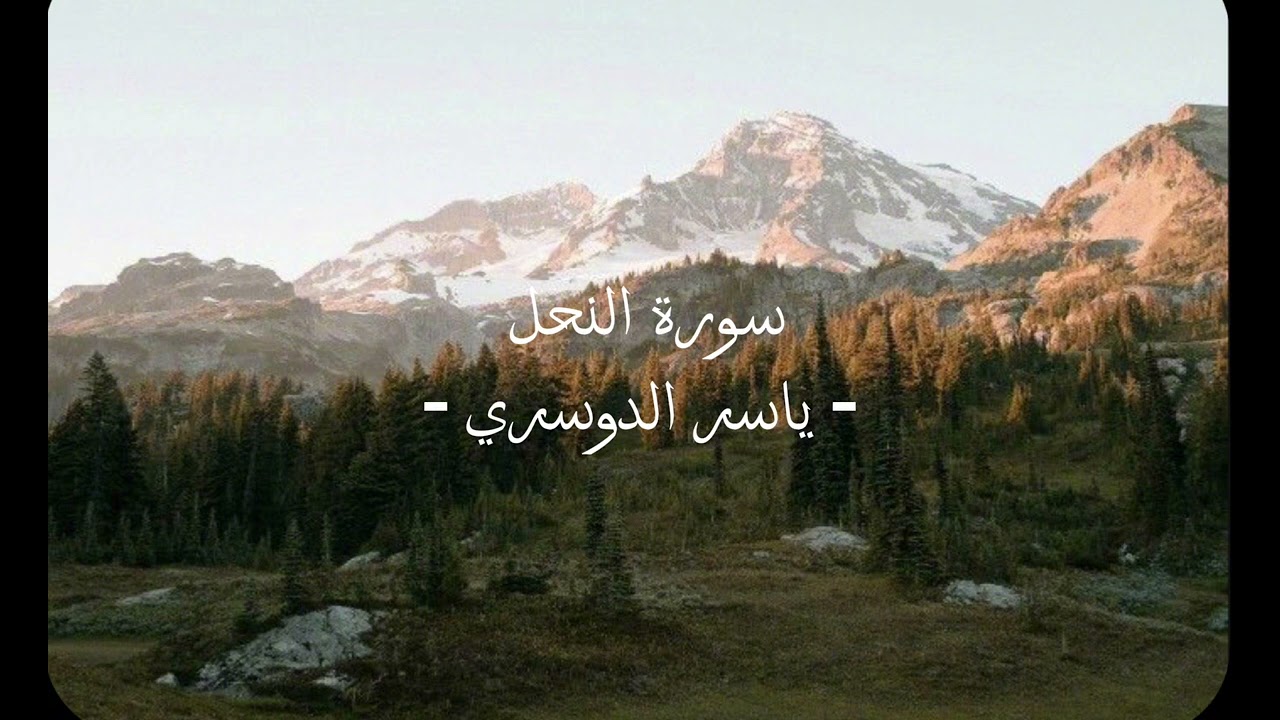 سورة النحل - الشيخ ياسر الدوسري 🤍🪴
