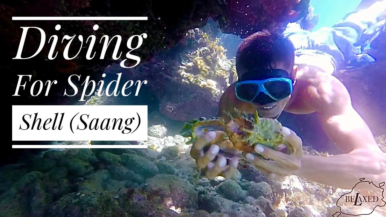 DIVING FOR SPIDER SHELL (SAANG) PART 2 | CATCH AND COOK | BOHOL PHILIPPINES