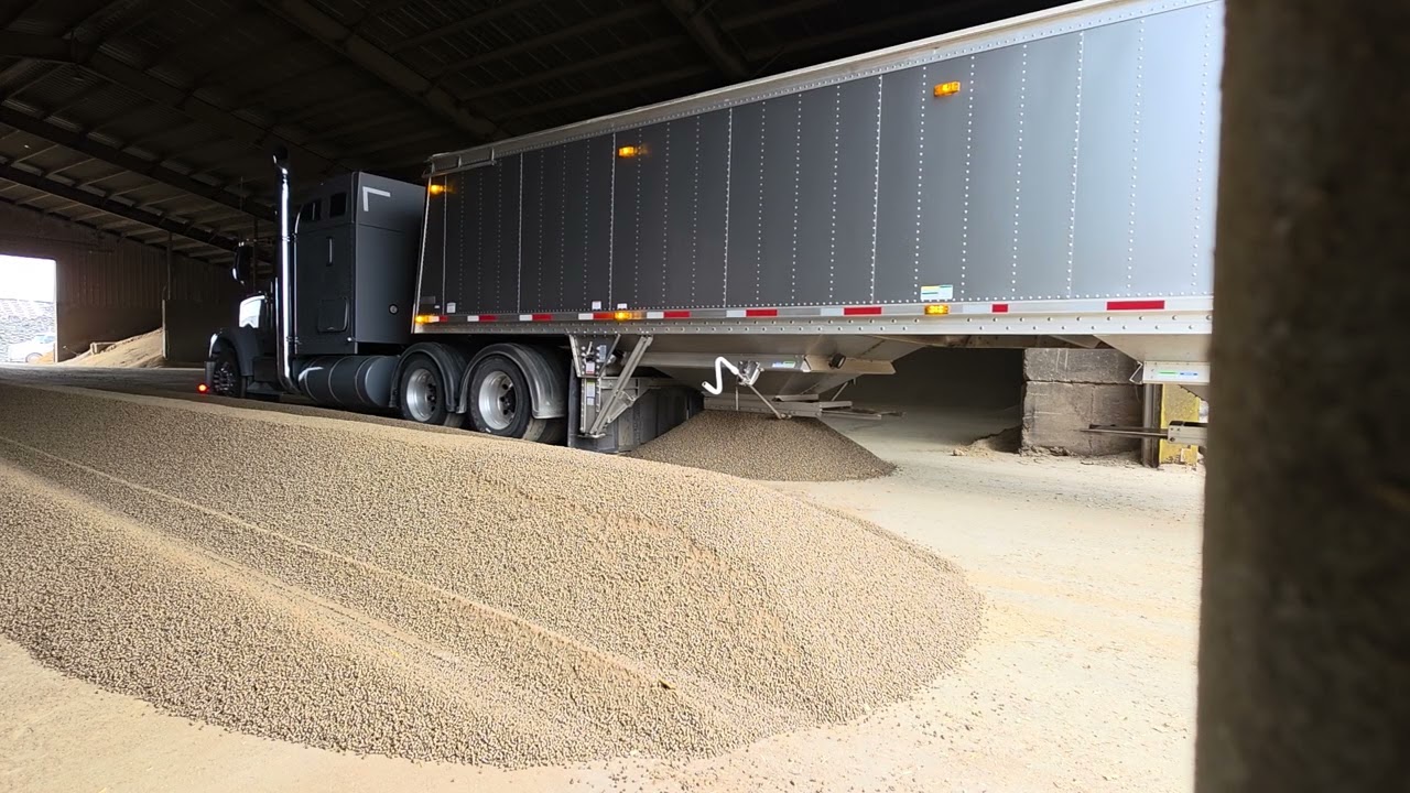 Delivering some feed 