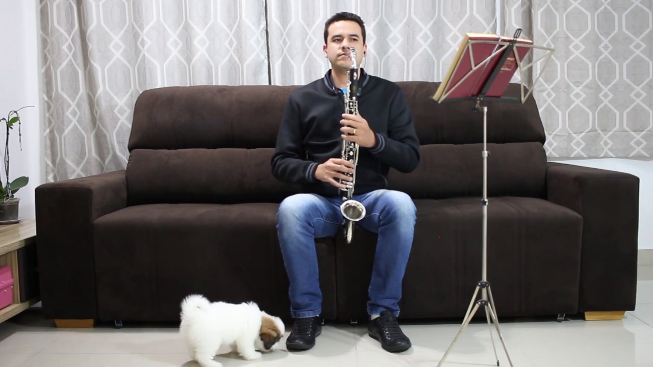 Hino 186 CCB - Cristo, Luz do mundo - Especial Clarinete Alto(Clarone) e Órgão - 4 Vozes -