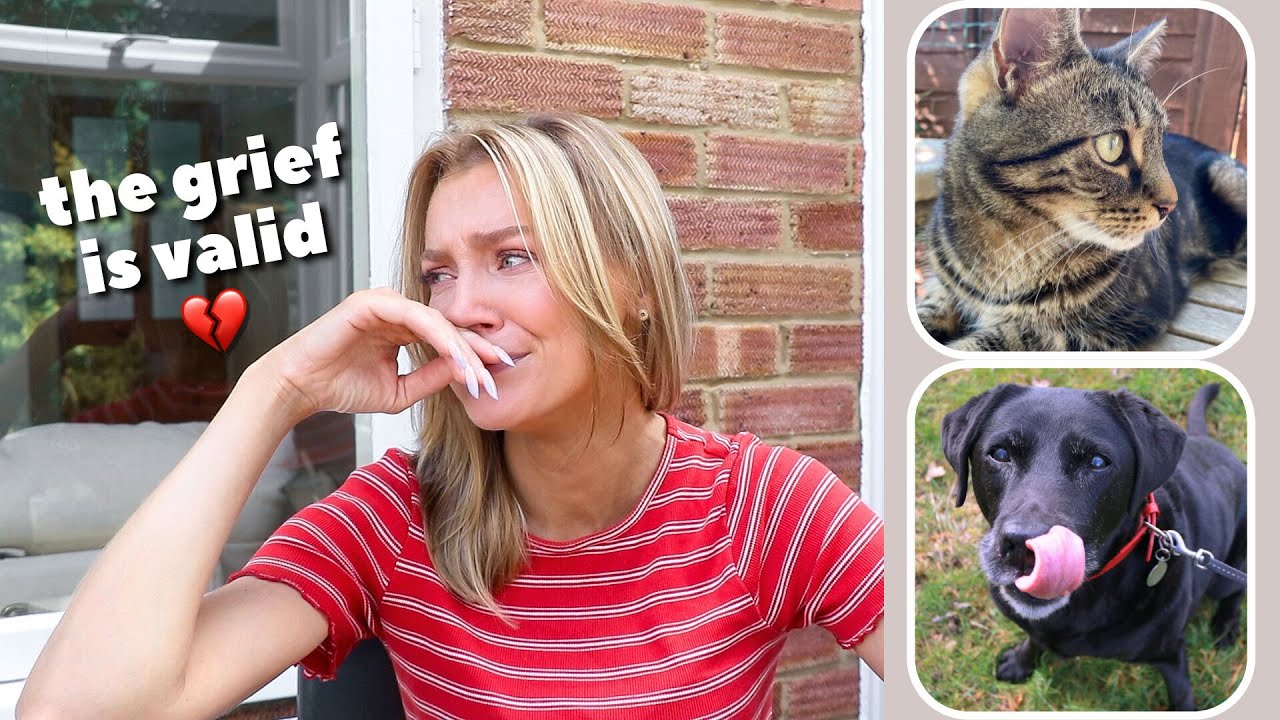 Losing your pet 💔 | tips for coping pet loss, disenfranchised grief | grieving your cat and dog
