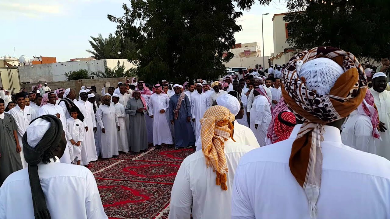 عجل ابو ستين ( خليص حارة المغاربه )