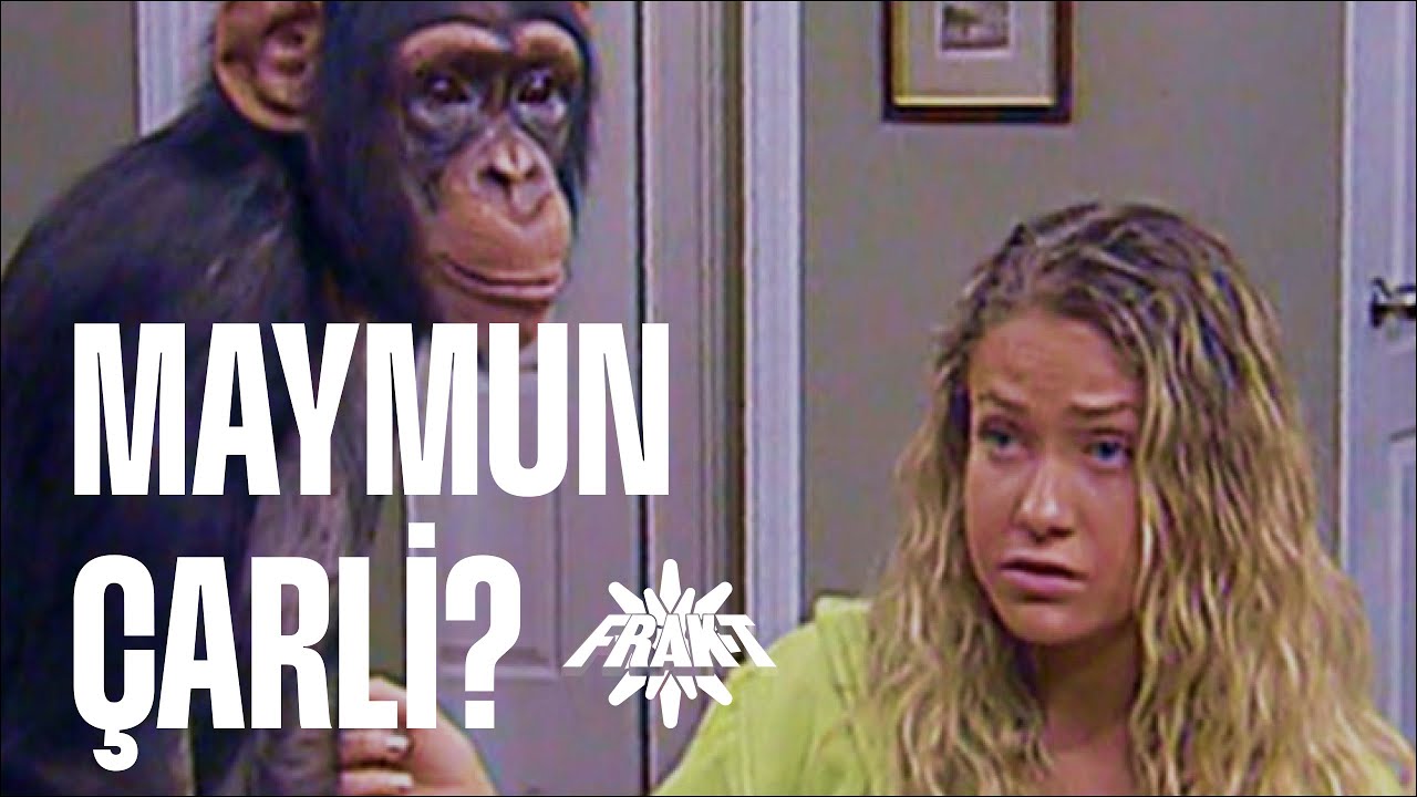 Maymun Çarli'ye ne oldu?