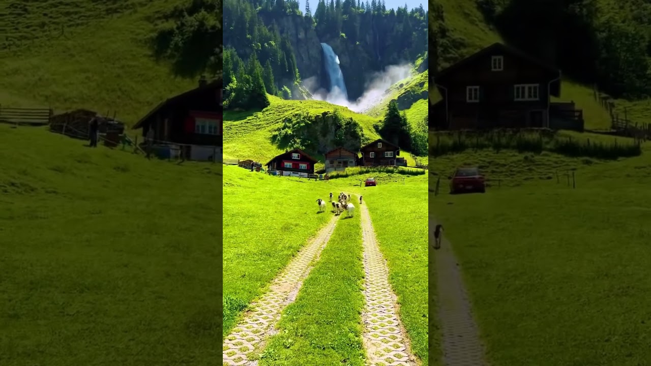 Alpine meadows. #swiss  #nature  #travel