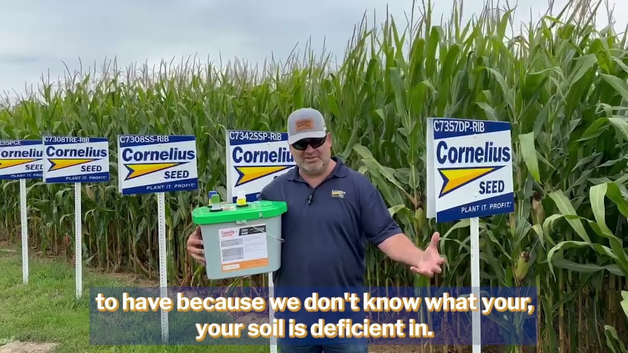 Establish Early Strength in Your Cornelius Seed with TuneUp+