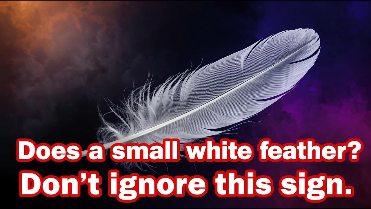 Small White Feather Appearing? Don't Ignore This Sign