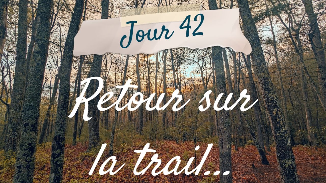 Jour 42 👣🌳⛺️ Retour sur la trail - Appalachian Trail 2024