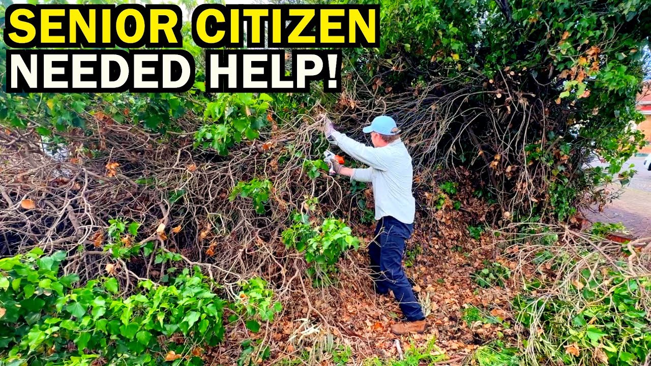 I RISKED EVERYTHING Cleaning This DISASTER Yard – Community REJOICES!!