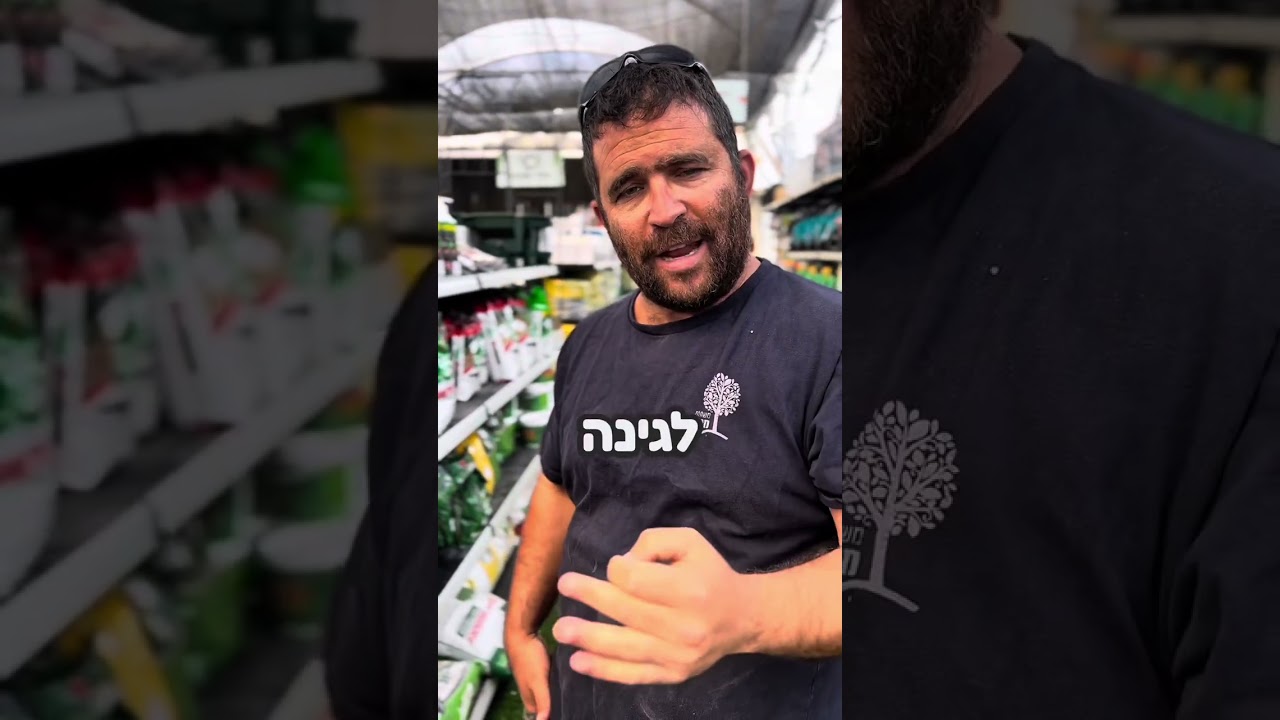 5 טיפים להוצאת דשא חי מהחורף לאביב- לדשא ירוק ובריא יותר!