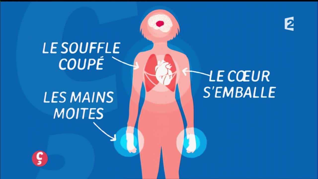 [BIEN-ETRE] Surmonter sa peur en avion, c'est possible ! #CCVB