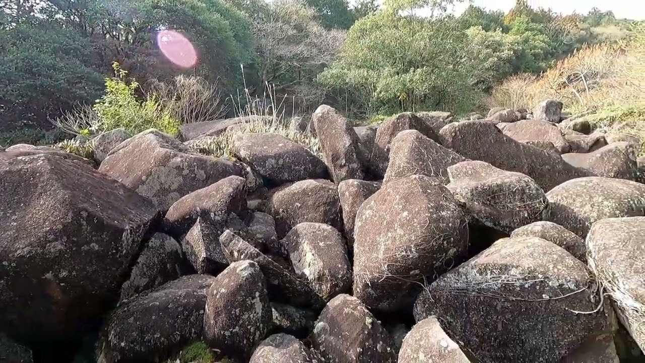 国指定天然記念物【吉部の大岩郷】宇部市　2025年03月25日