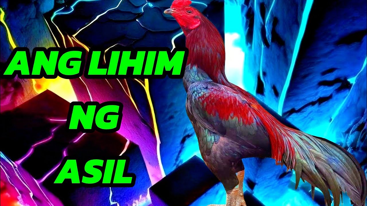 ASIL: ANG HARING MANOK! 👑🔥