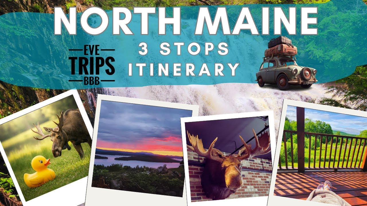 🌄 North Maine part 2 | Moose? | EveTripsBBB