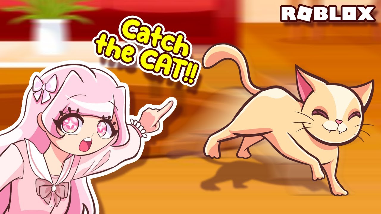 Catch The Cat!!! | Roblox | Catch The Cat