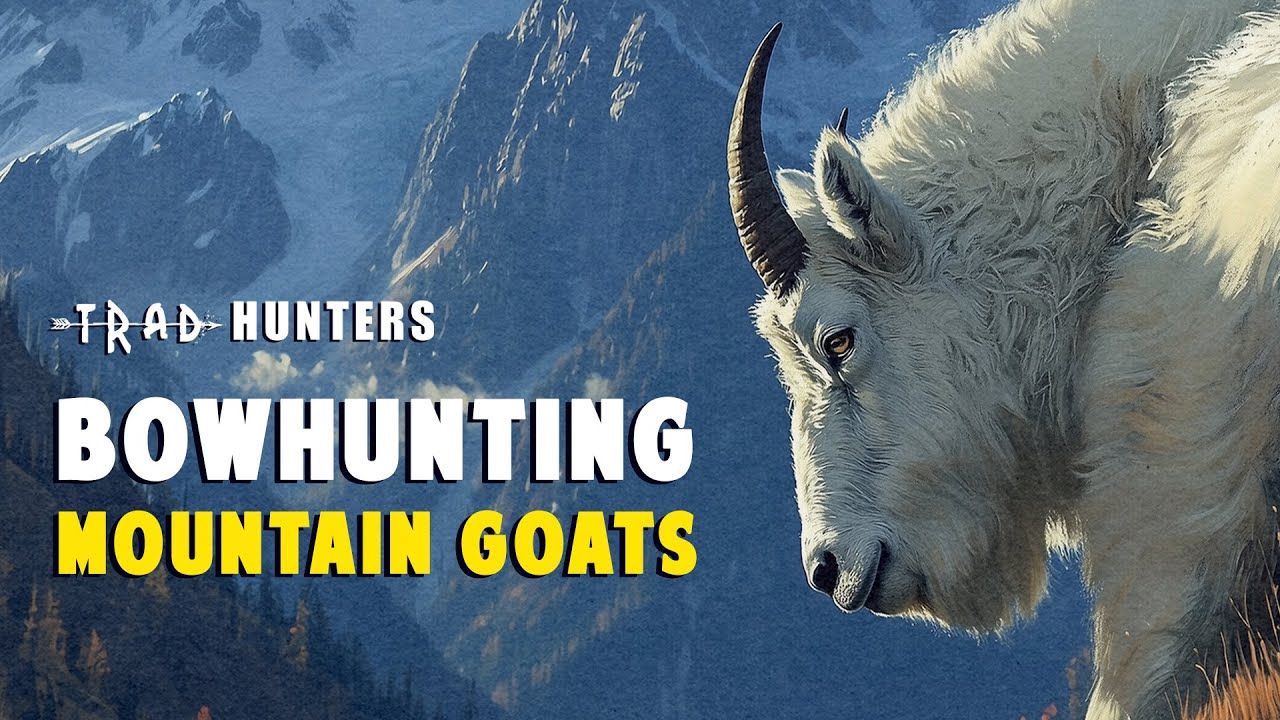 Bowhunting Mountain Goats In Utah | Trad Hunters Magazine