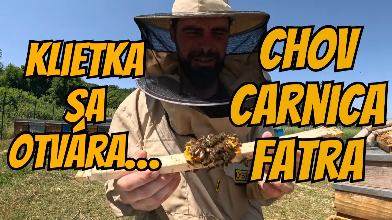 Otvárame bránu pre novú matku