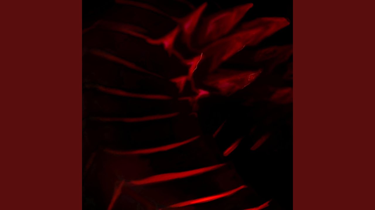 Somnum Exterreri