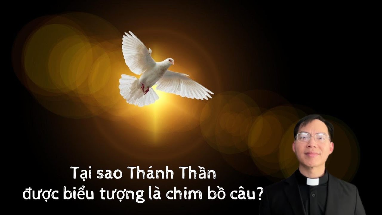 Tại sao Thánh Thần được biểu tượng là chim bồ câu?