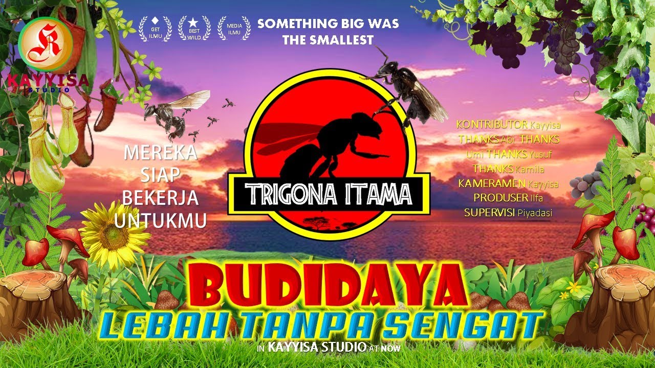 Ayo Budidaya Lebah TRIGONA ITAMA || Lebah Tanpa Sengat || Peluang Usaha Pasif Income