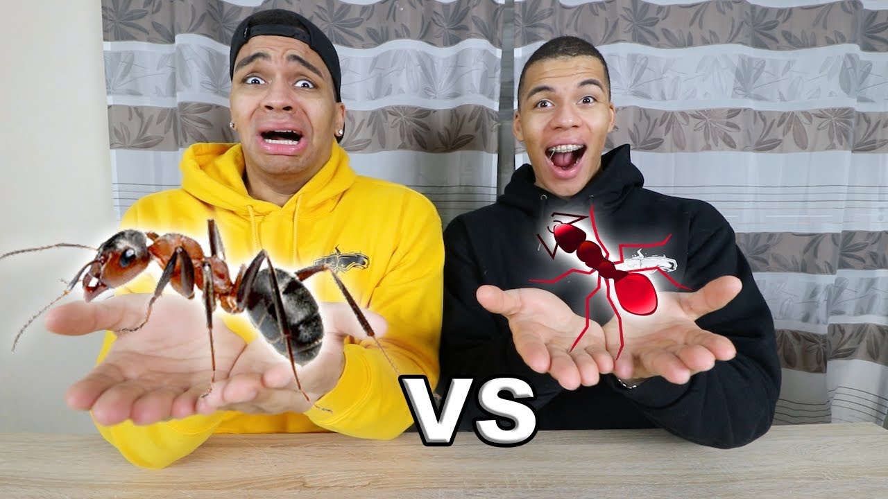 GUMMI ESSEN vs ECHTES ESSEN 13 !!! | Kelvin und Marvin