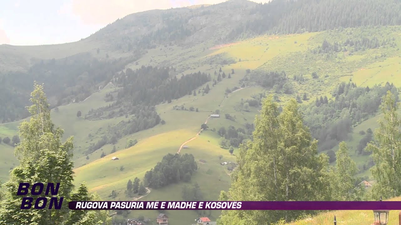 Bon Bon - Rugova pasuria me e madhe e Kosoves 18.07.2014