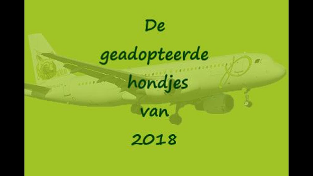 Geadopteerde hondjes 2018