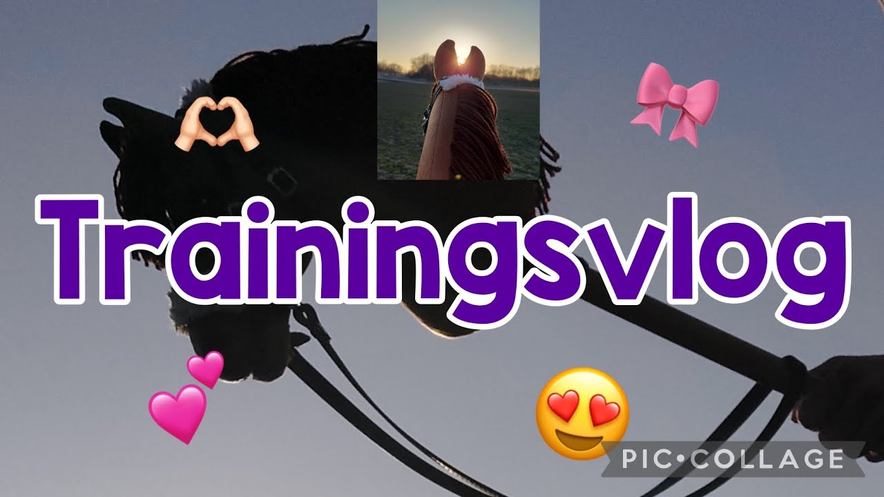 Dressur & Springtraining mit TEDDY🎀✨️🫂🫣