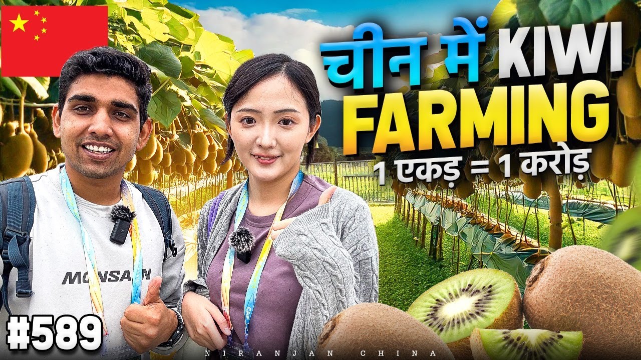 kiwi farming in China Yangling